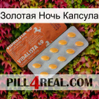 Золотая Ночь Капсула 43